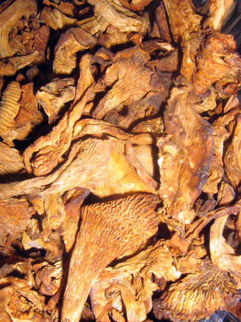 reklama-019.jpg