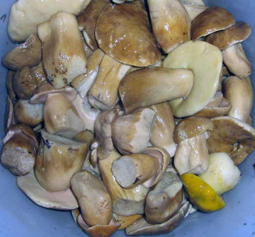 reklama-024.jpg