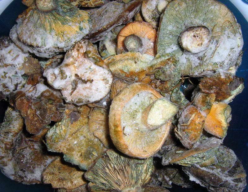 19.10.2009-002.jpg