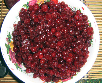 3.11.2009-010.jpg