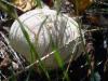 dsc02313_t1.jpg
