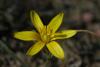 12561_5eb0446d_t1_1.jpg