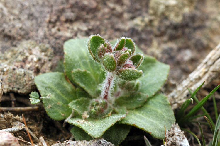 12571_f7674c8c.jpg