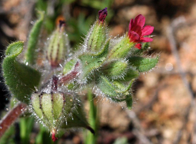 14842_0b335294.jpg