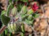 14842_0b335294_t1.jpg