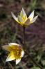 15208_28a04665_t1.jpg