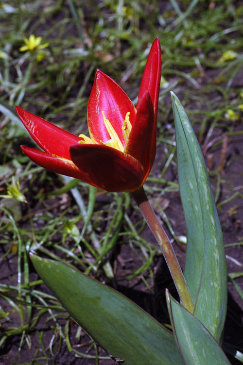 15989_077590fc.jpg