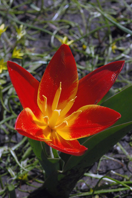 15990_6b421d92.jpg