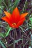 15994_1f6b7d80_t1.jpg