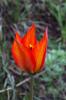 15995_95bc4a1c_t1.jpg