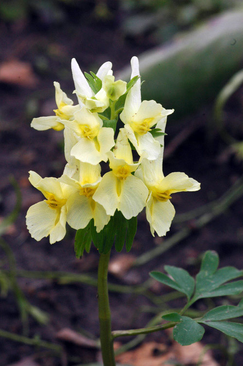15997_3d593183.jpg