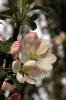 16101_024f8fbd_t1.jpg