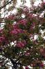 16102_75600750_t1.jpg
