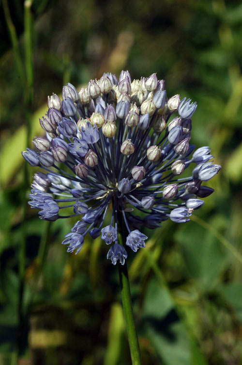 24369_c7f4cd44.jpg