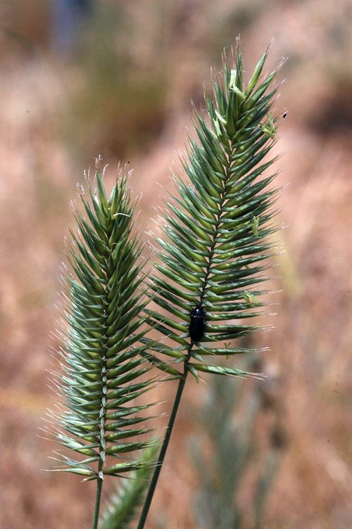 24570_e33a9869.jpg