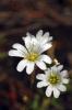 27684_fdda624a_t1.jpg