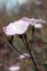 27706_958617cc_t1.jpg