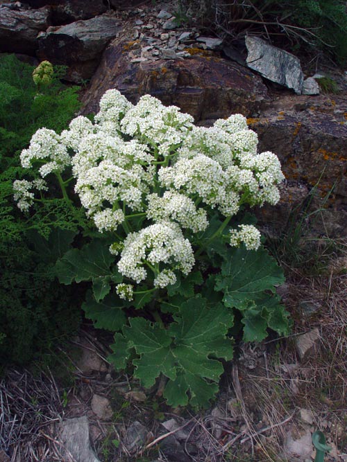 3089_b9f6df5c.jpg
