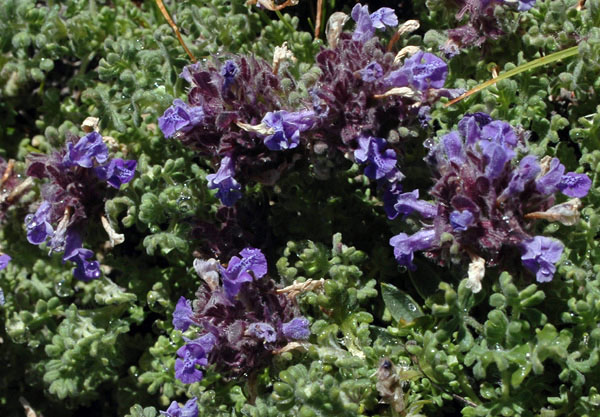3149_dafd6d57.jpg
