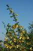 31762_be9be26a_t1.jpg