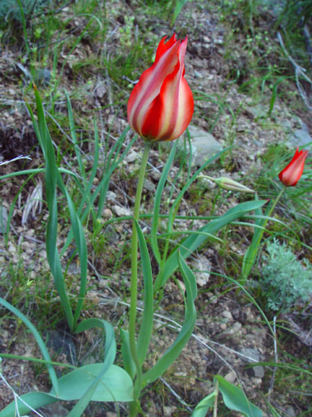 3210_712d670f.jpg