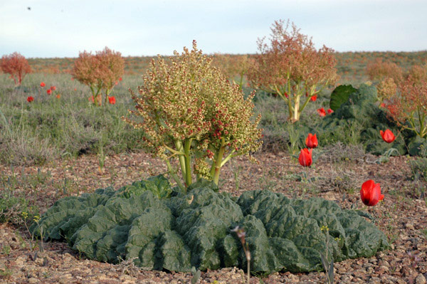 3215_45990495.jpg