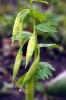 32346_f495ac90_t1.jpg
