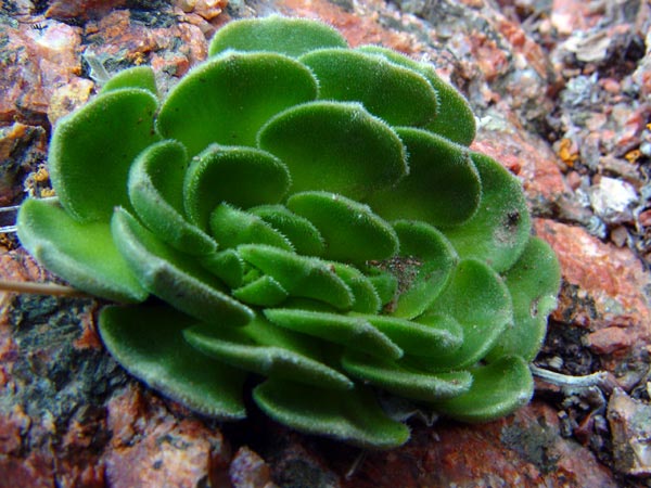3267_39530167.jpg