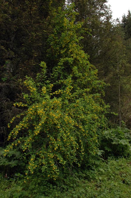 3368_1309205a.jpg