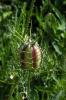 34002_97697619_t1.jpg