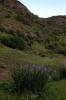 3506_212fe170_t1.jpg