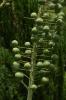 3508_9601524d_t1.jpg