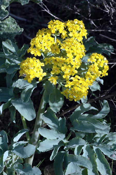 3511_c9f0962e.jpg