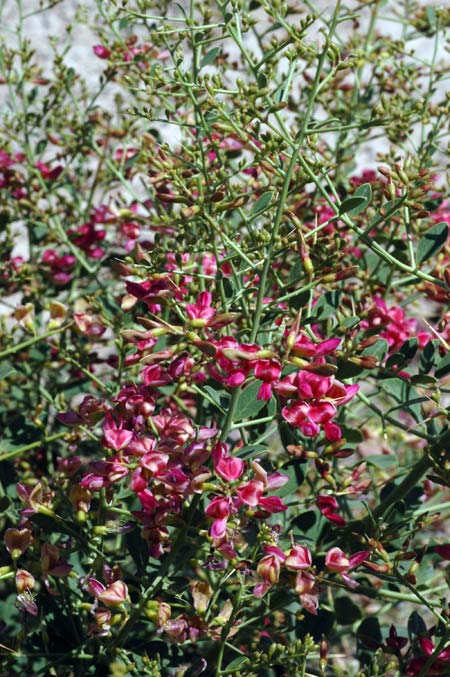 3520_63083234.jpg