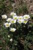 3522_f9ab491f_t1.jpg