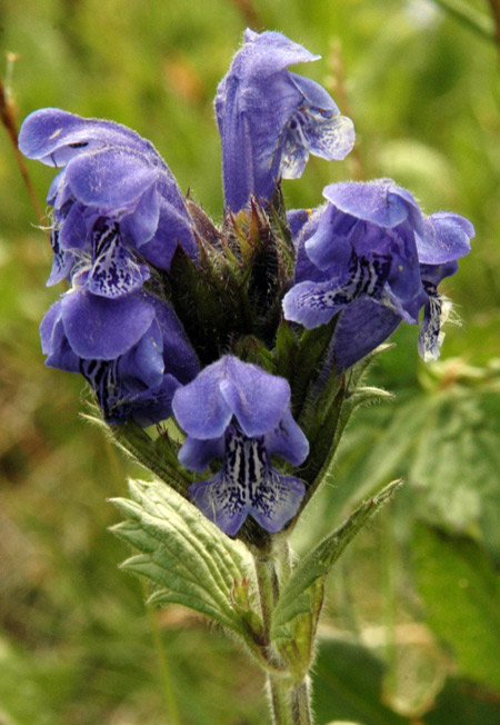 3530_abcc8921.jpg
