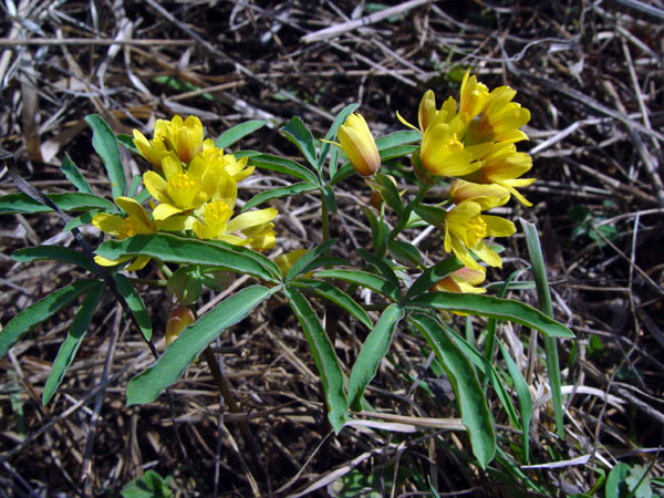 3686_7b8c3155.jpg