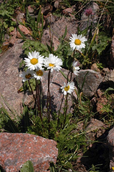 3696_0580502d.jpg