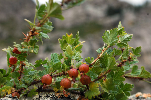 3749_ab472947.jpg