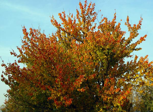 3804_83fd3c9a.jpg