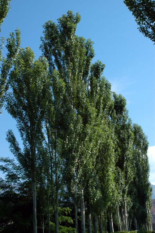 38419_67657e76.jpg