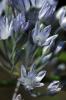 38504_314f3e18_t1.jpg