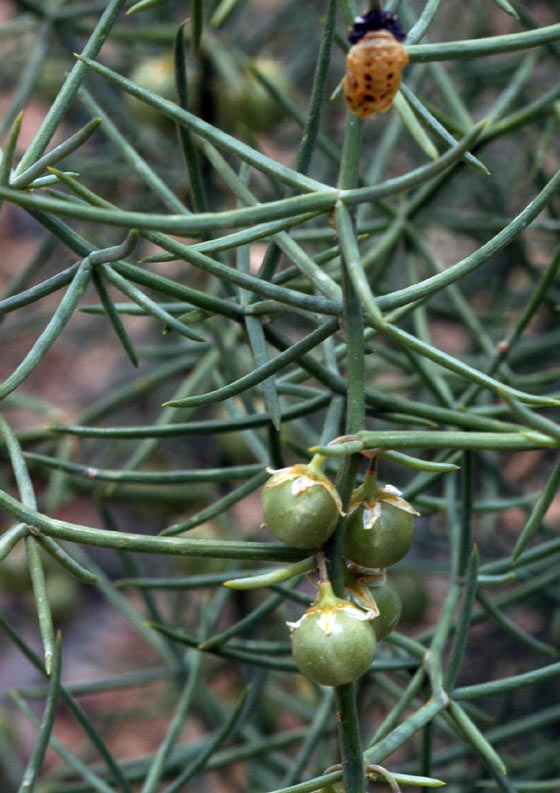 38536_447d9656.jpg
