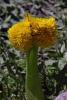 38875_582d2100_t1.jpg
