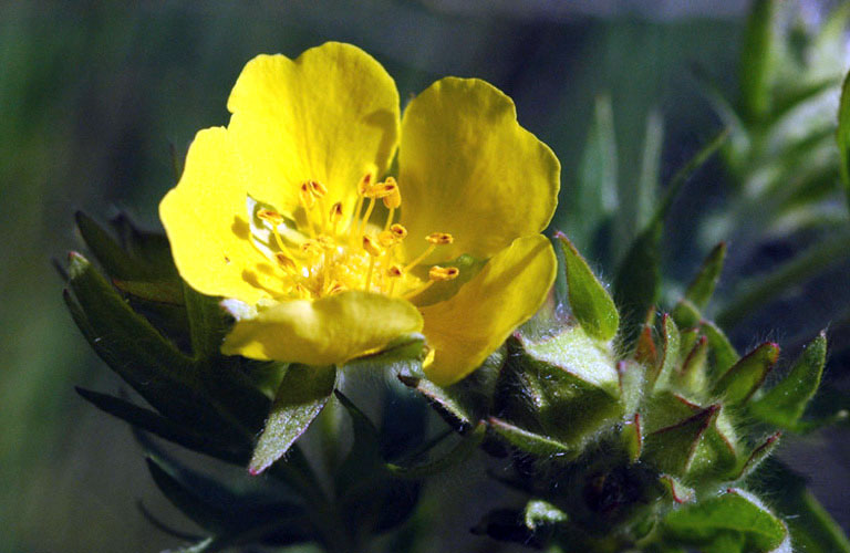 40688_b907c9fe_1.jpg