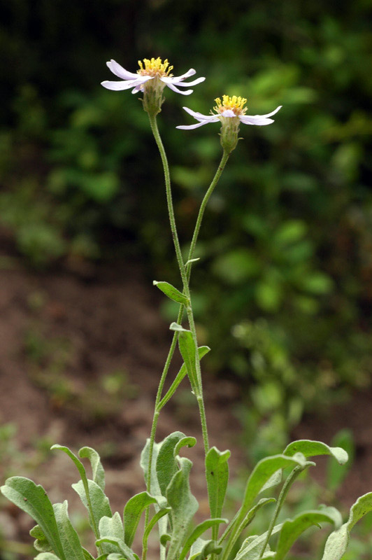 40876_7dafea57.jpg