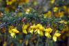 42143_178a0939_t1.jpg