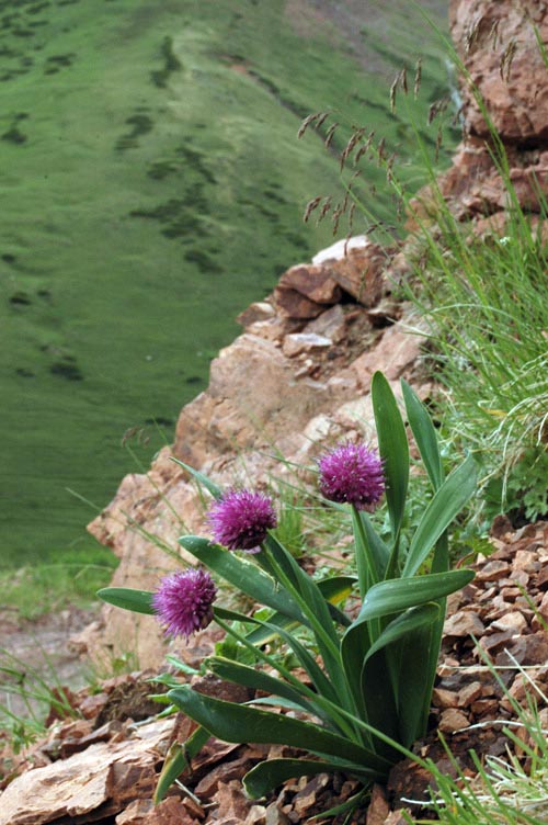 4555_d5ca91c4.jpg