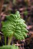 55214_a4cd1663_t1.jpg