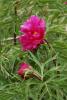 55225_955bd0b8_t1.jpg